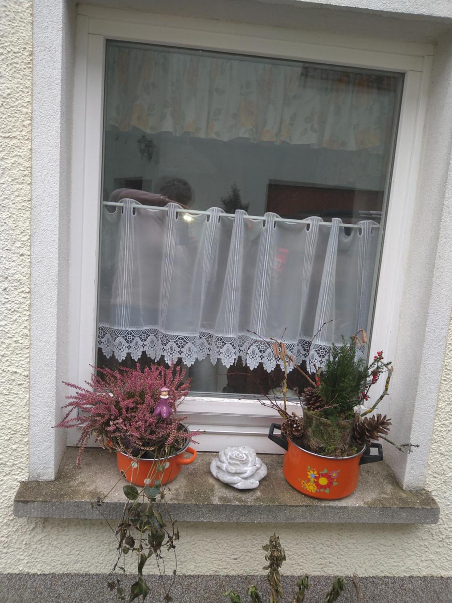 Ferienhaus Johanna & Ferienwohnung Thum Weischlitz Habitación foto